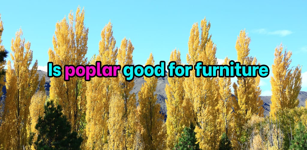 Is poplar good for furniture